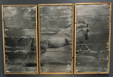 3 piece Horse wall art