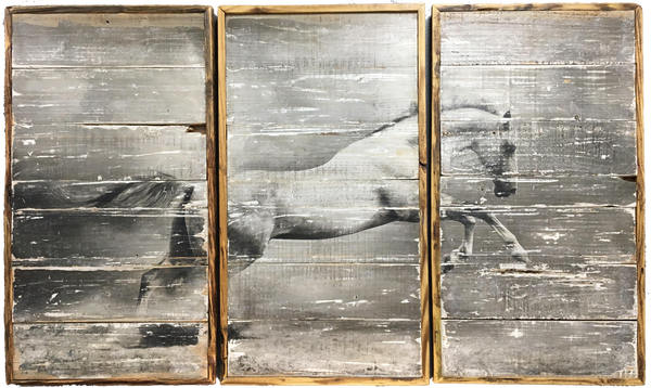 3 piece Horse wall art