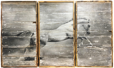 3 piece Horse wall art