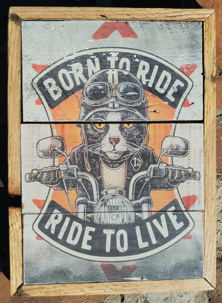 Cat Born To Ride Wall Art